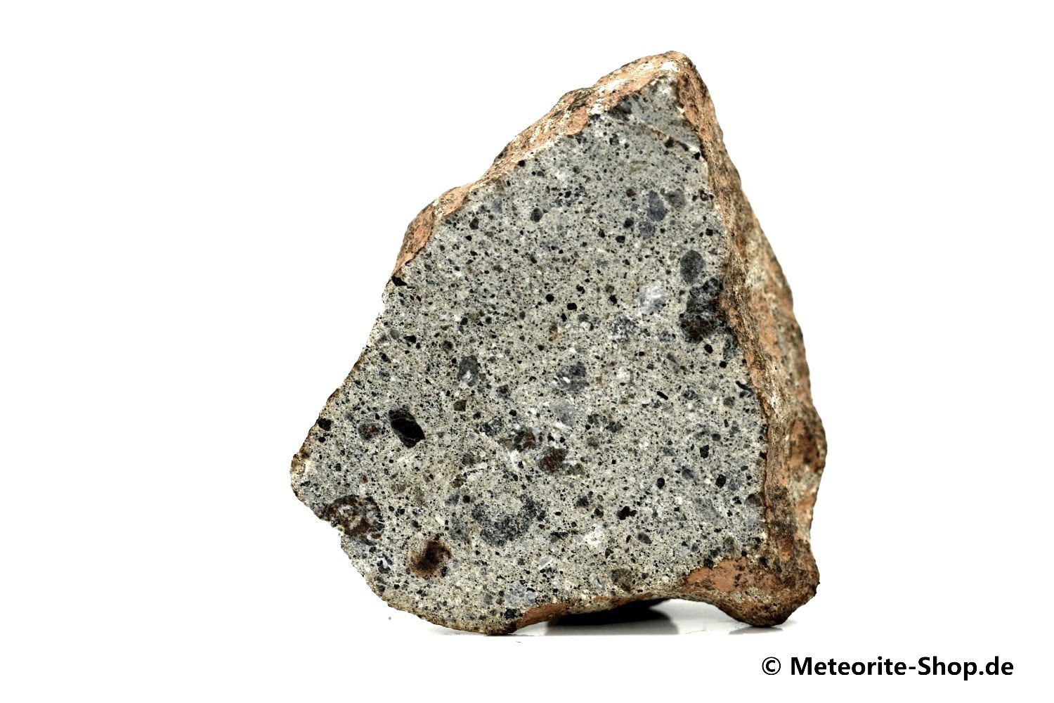 Zagora 011 Meteorit - 26,30 g