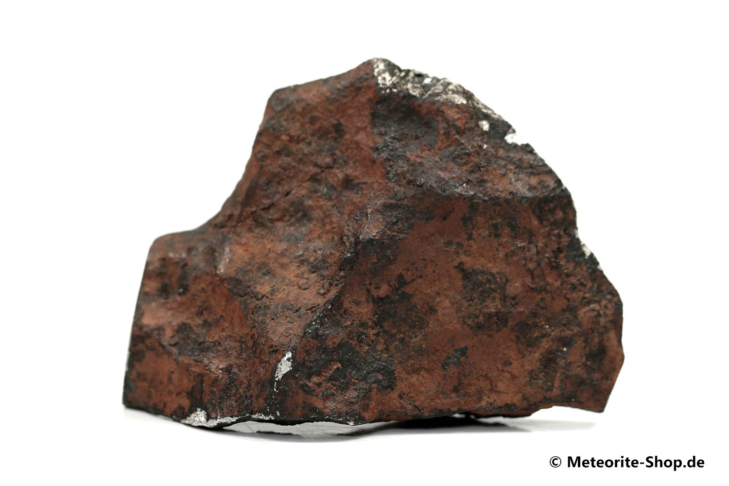 Gibeon Meteorit - 225,10 g