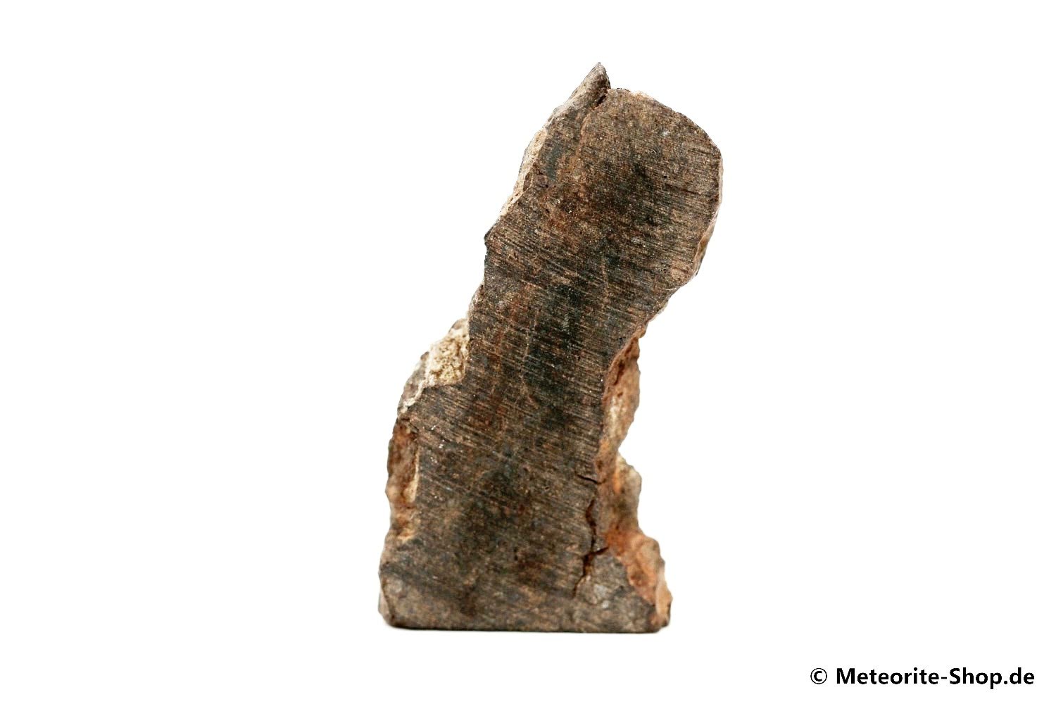 Dhofar 020 Meteorit - 9,05 g