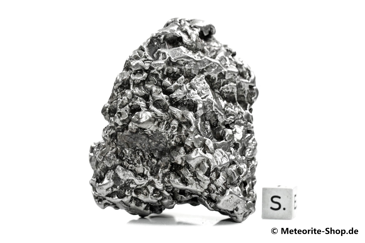 Campo del Cielo Meteorit - 322,10 g