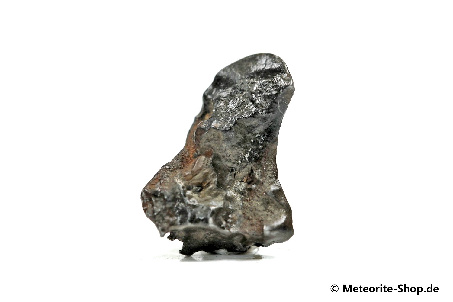 Golden Pallasite Meteorit (gepairt mit NWA 7788) - 1,95 g