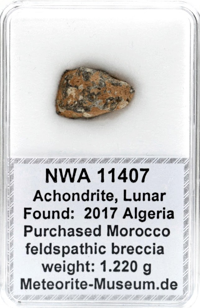NWA 11407 Mond Meteorit - 1,220 g