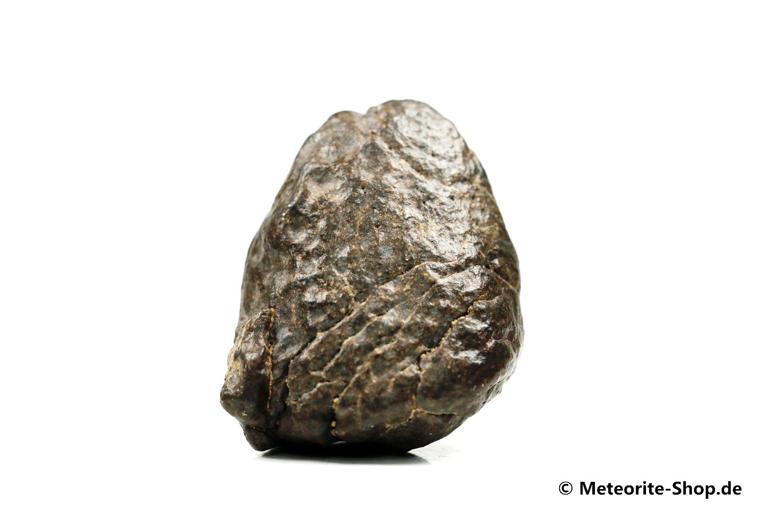 NWA Rissani Meteorit - 55,60 g