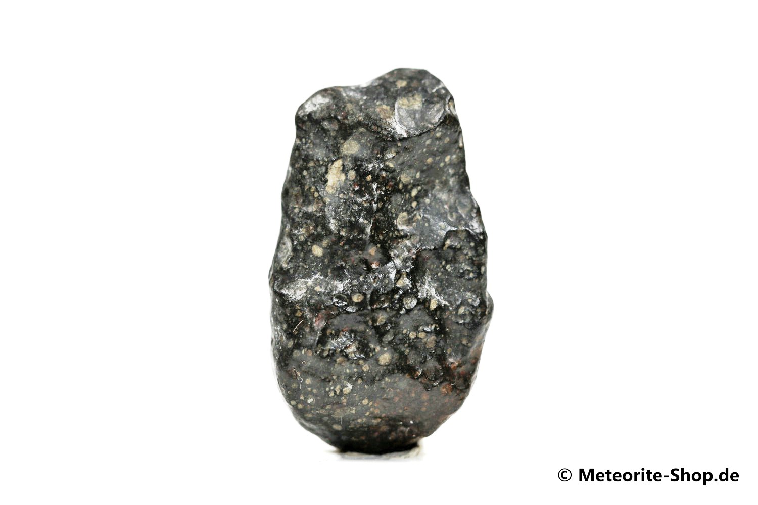 Tanezrouft 092 Meteorit - 6,90 g