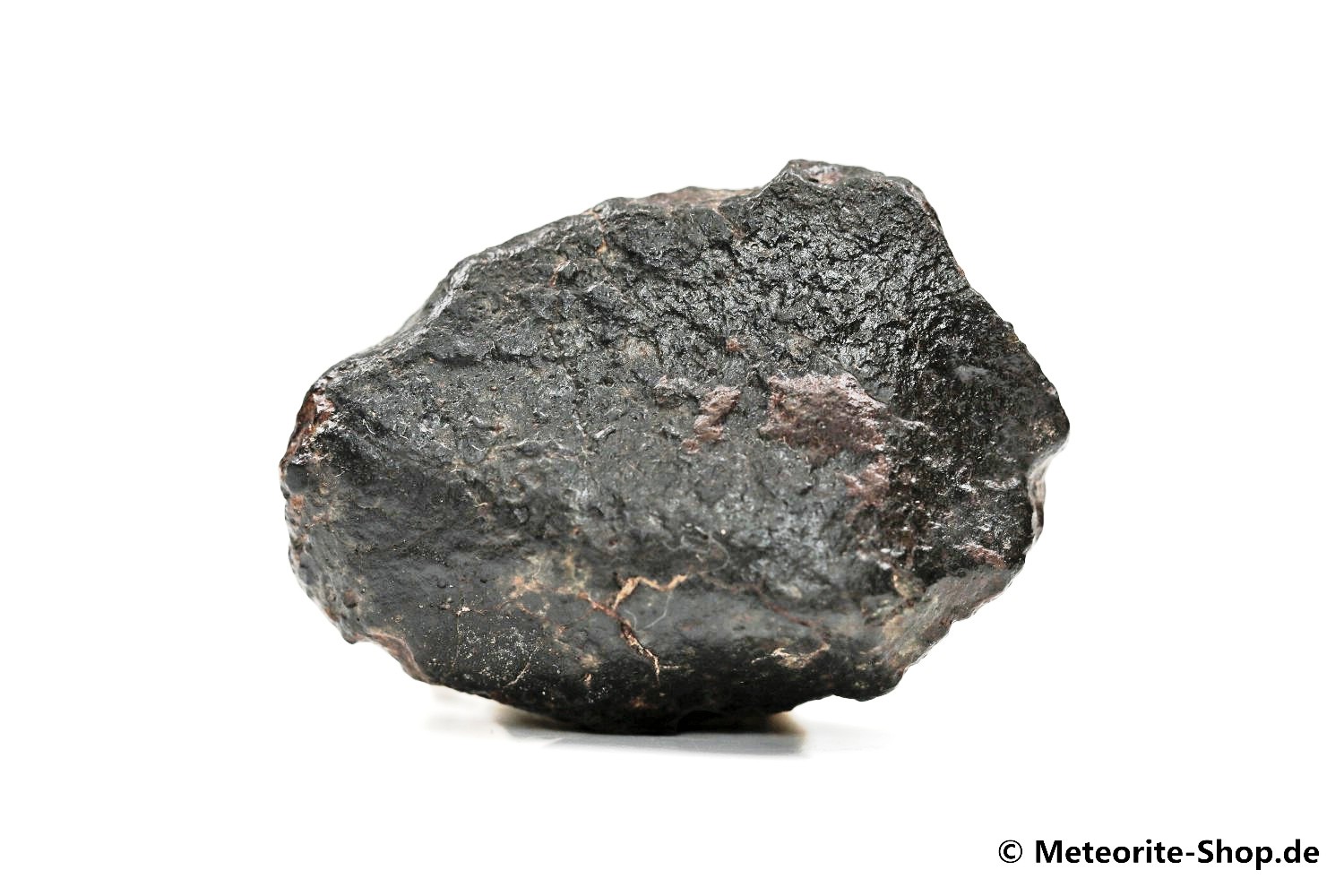 NWA Zagora Meteorit - 19,00 g