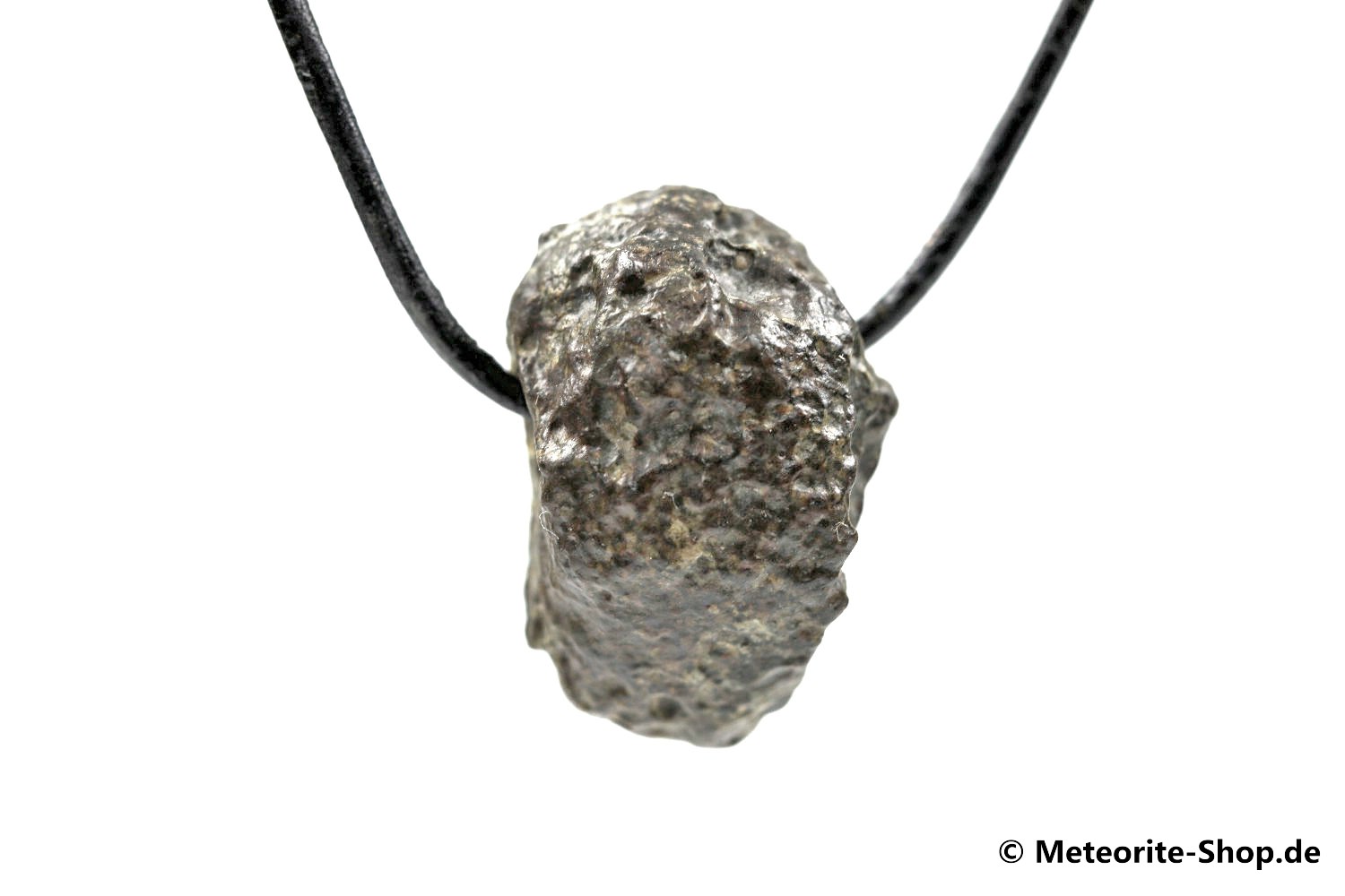 Stein-Meteorit-Anhänger (NWA 869 | Natura) - 11,10 g