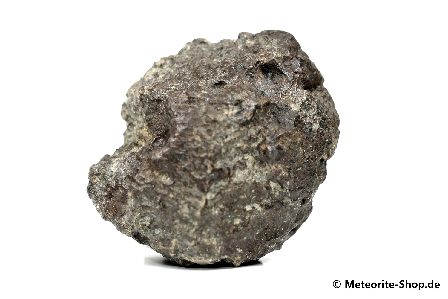 NWA 869 Meteorit - 108,80 g