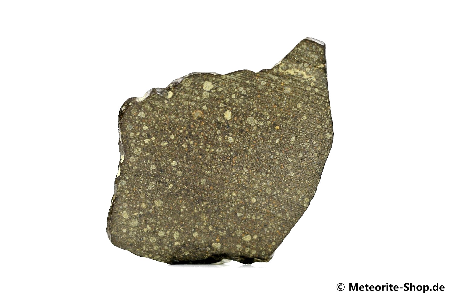 Gouchi 001 Meteorit - 4,30 g