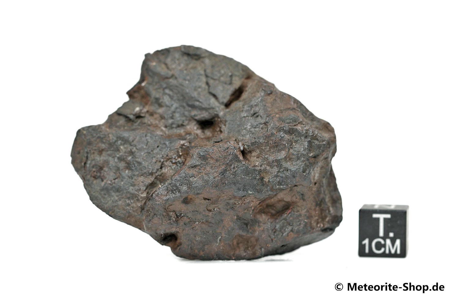 Canyon Diablo Meteorit - 155,00 g
