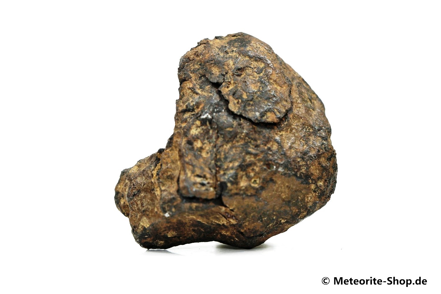 Agoudal Meteorit - 39,00 g