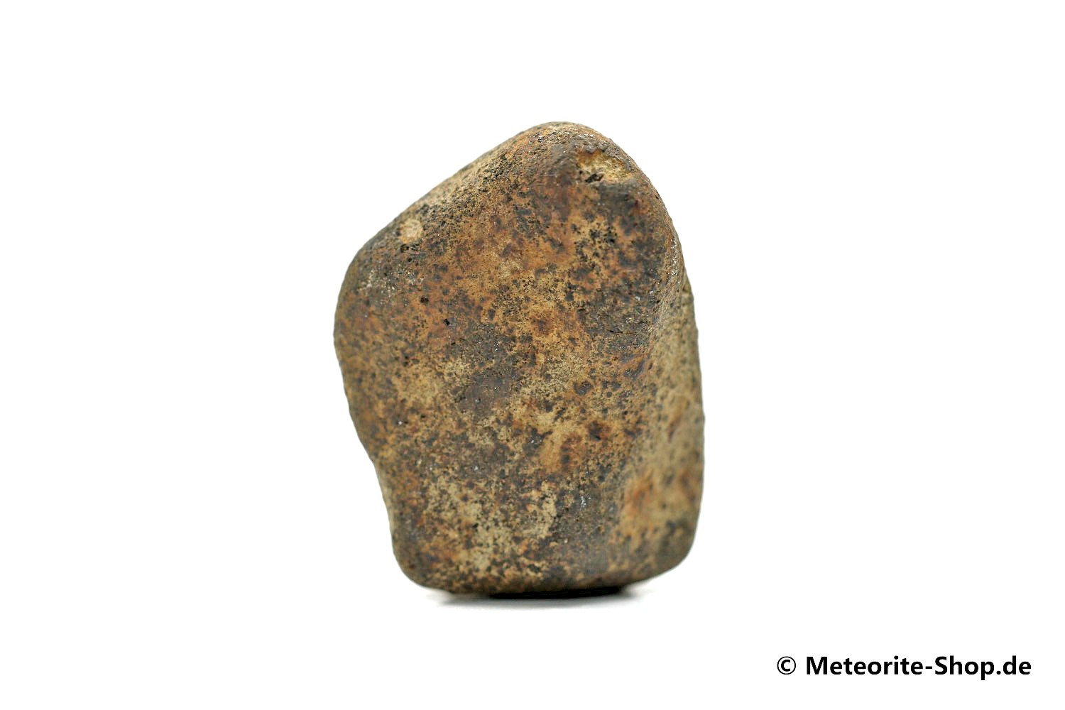 Gao-Guenie Meteorit - 13,90 g
