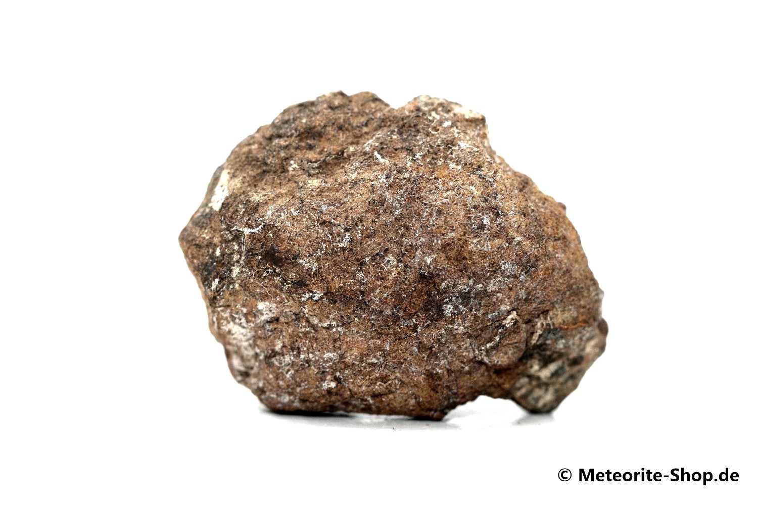 Al Haggounia 001 Meteorit - 29,60 g