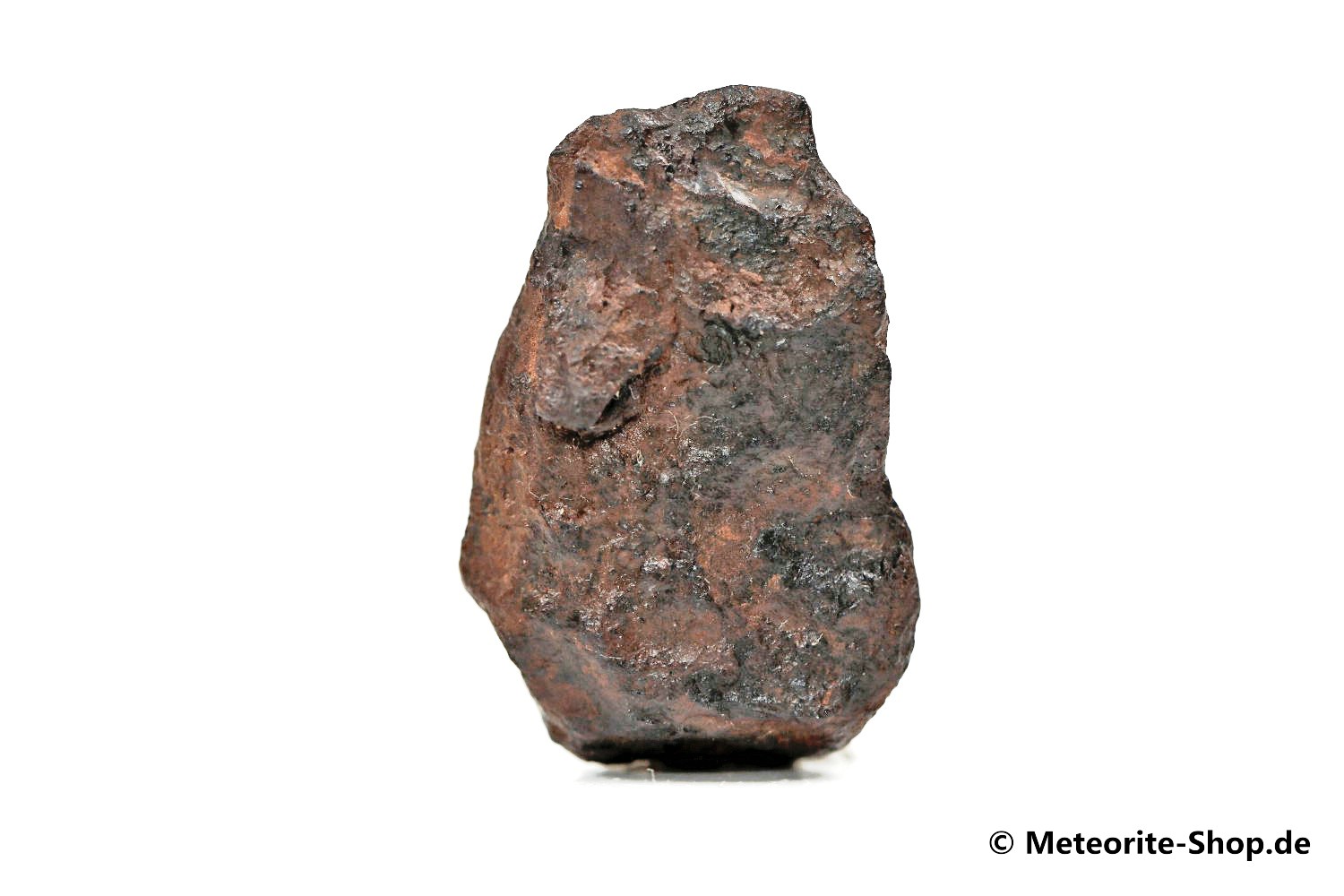 NWA 859 Meteorit - 8,80 g