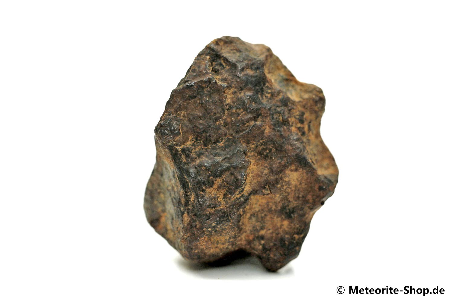NWA 859 Meteorit - 18,50 g
