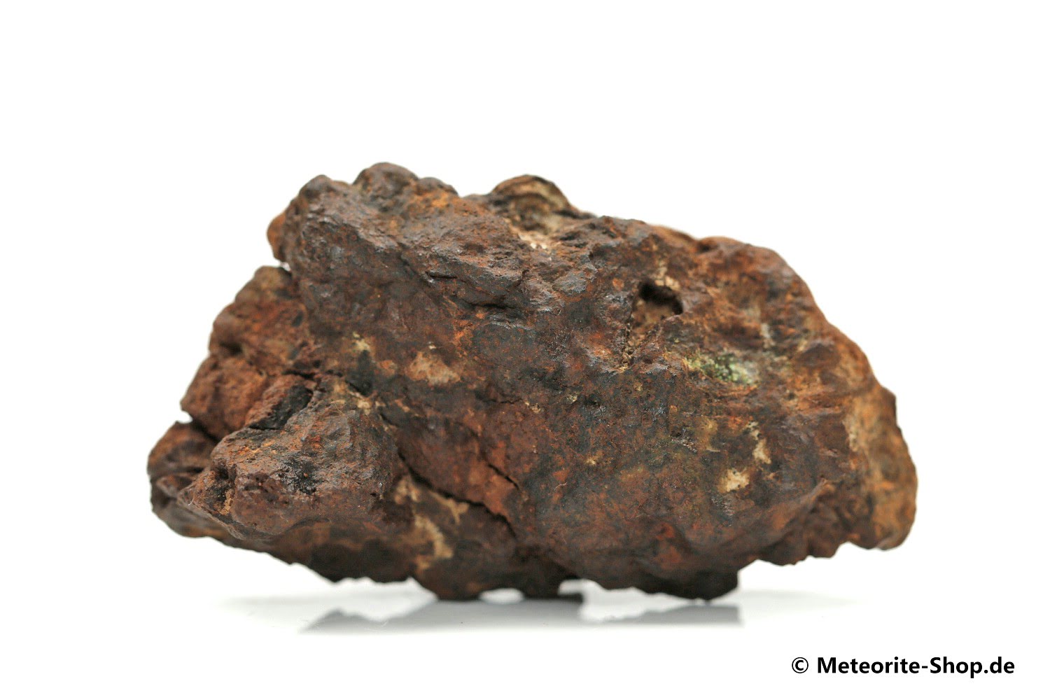Sericho Meteorit - 31,80 g