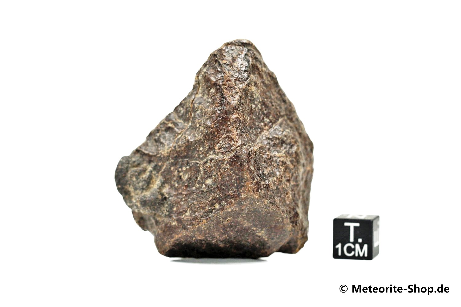 NWA Westsahara Meteorit - 89,20 g