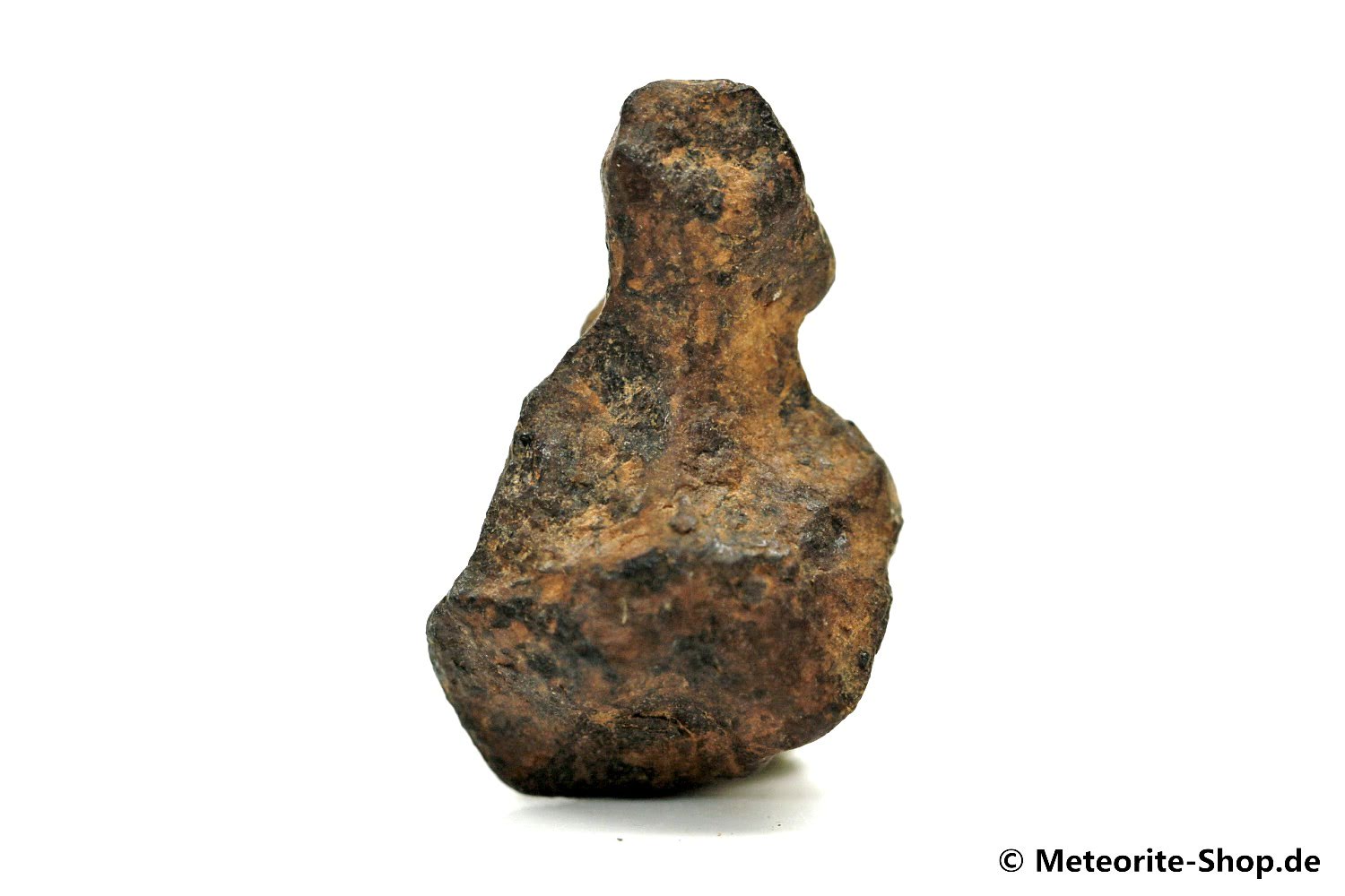 NWA 859 Meteorit - 13,10 g