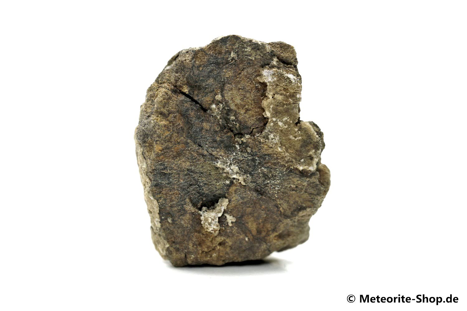 Al Haggounia 001 Meteorit - 20,00 g