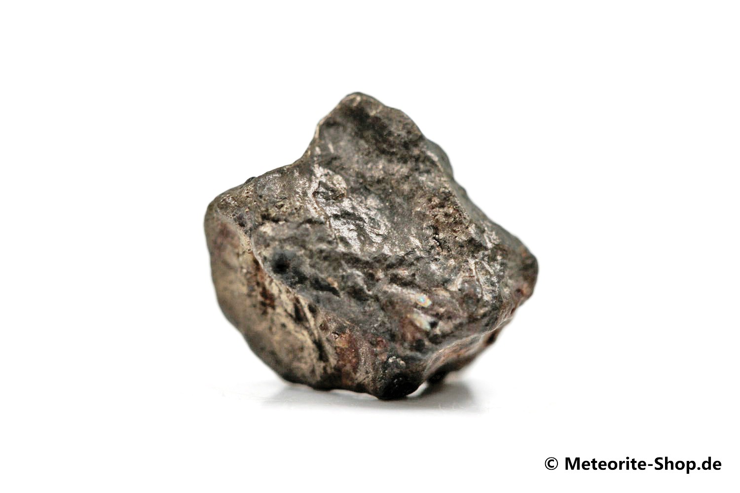 Golden Pallasite Meteorit (gepairt mit NWA 7788) - 1,30 g