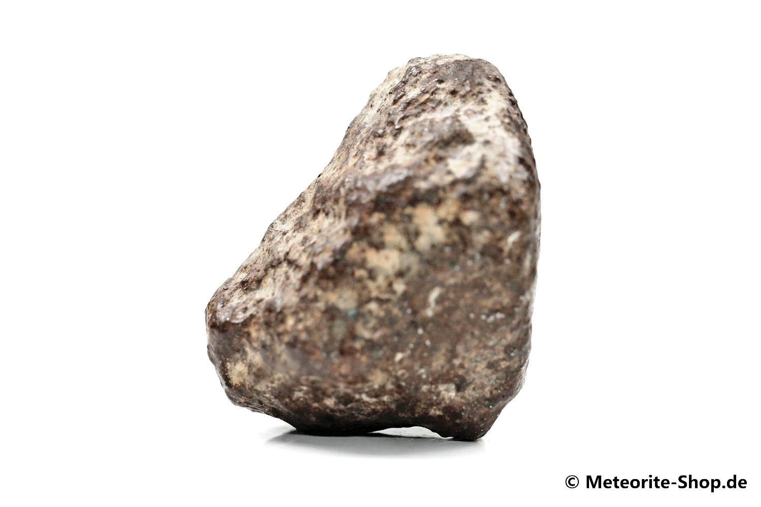 NWA Casablanca Meteorit - 63,90 g
