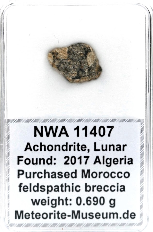NWA 11407 Mond Meteorit - 0,690 g