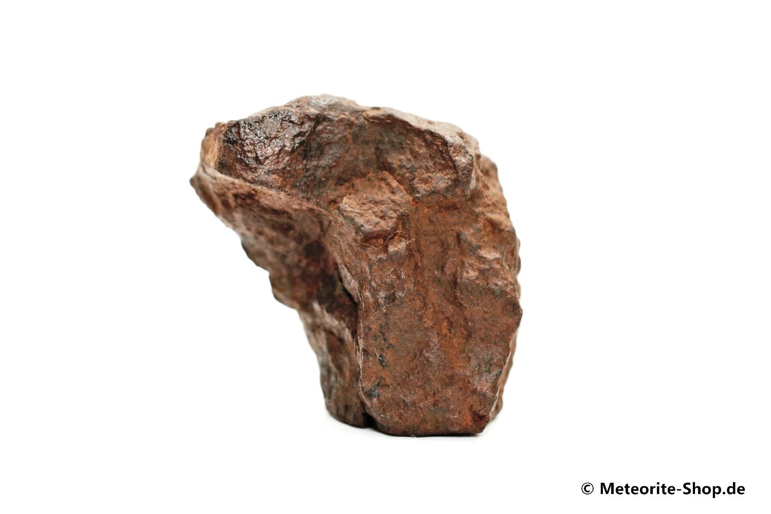 NWA Rissani Meteorit - 30,60 g