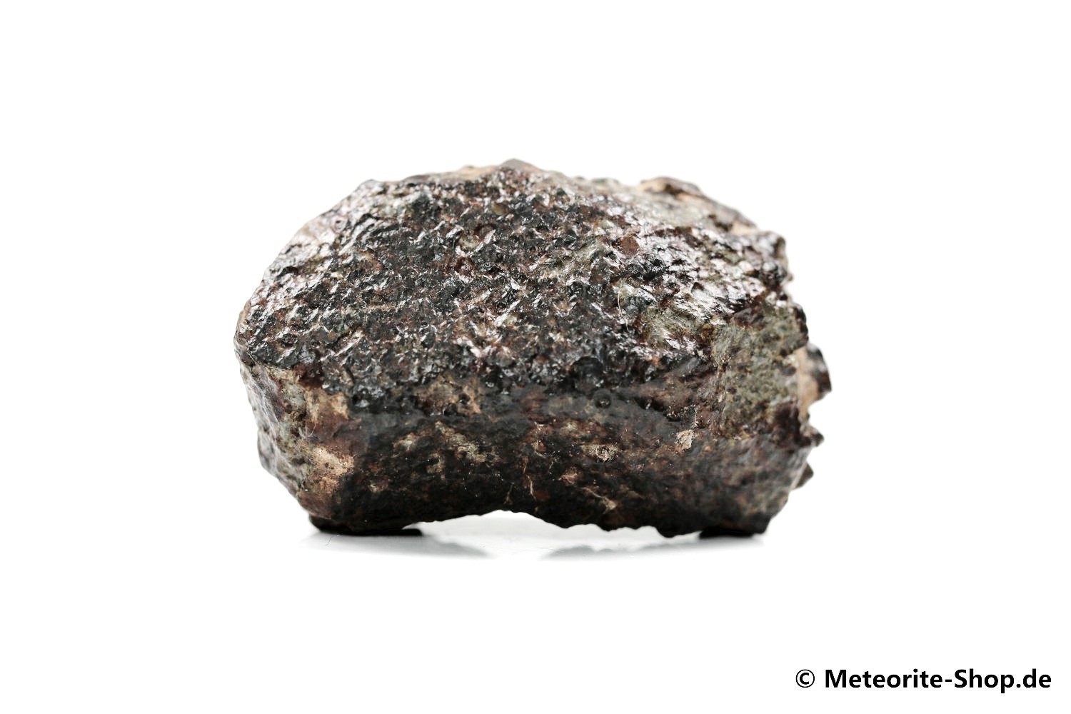 NWA Sahara Meteorit - 46,30 g