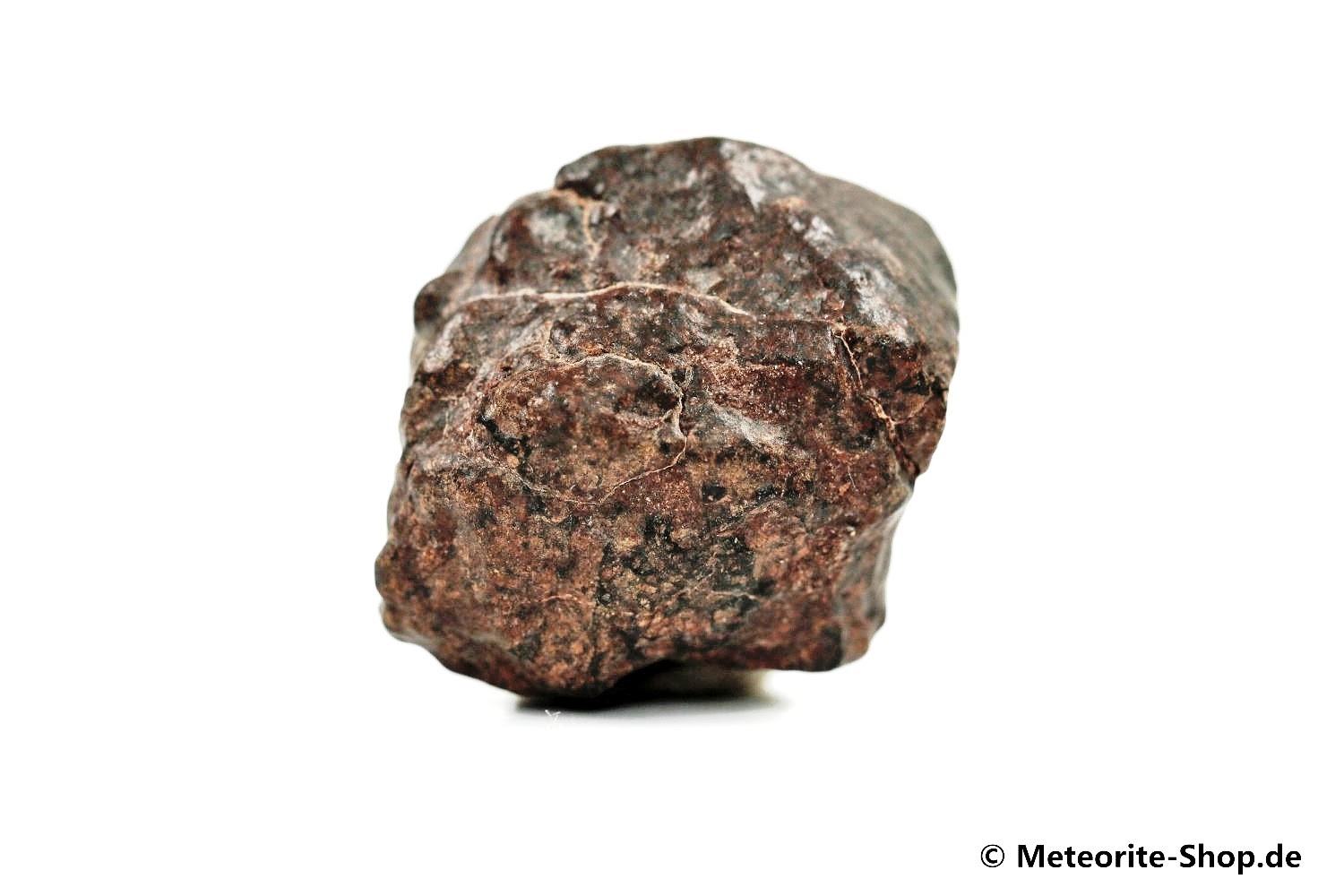 NWA Zagora Meteorit - 12,00 g