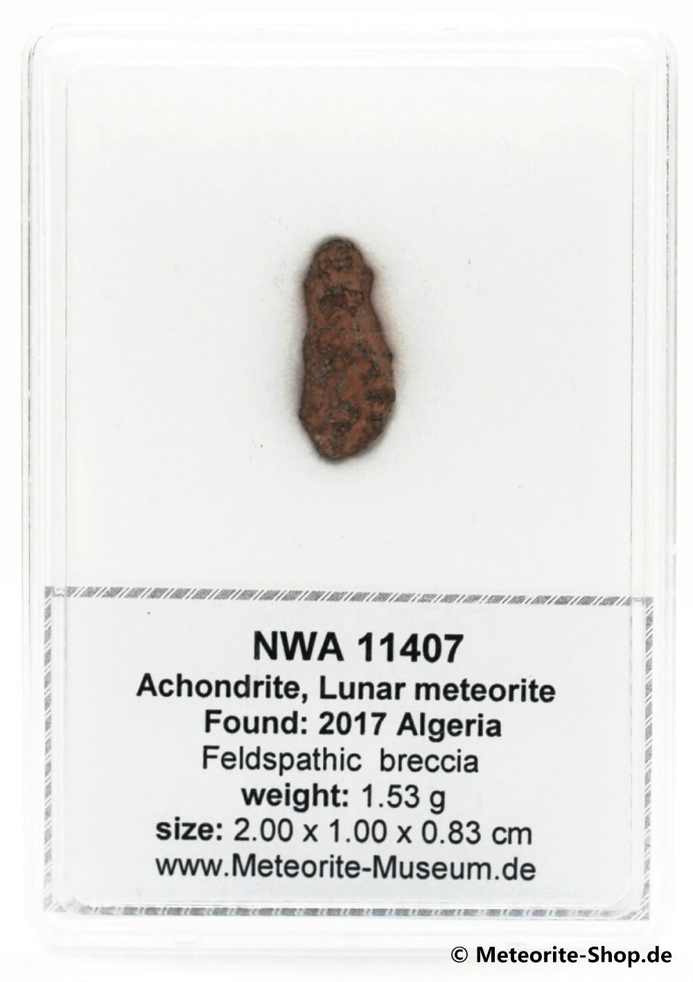 NWA 11407 Mond Meteorit - 1,530 g -