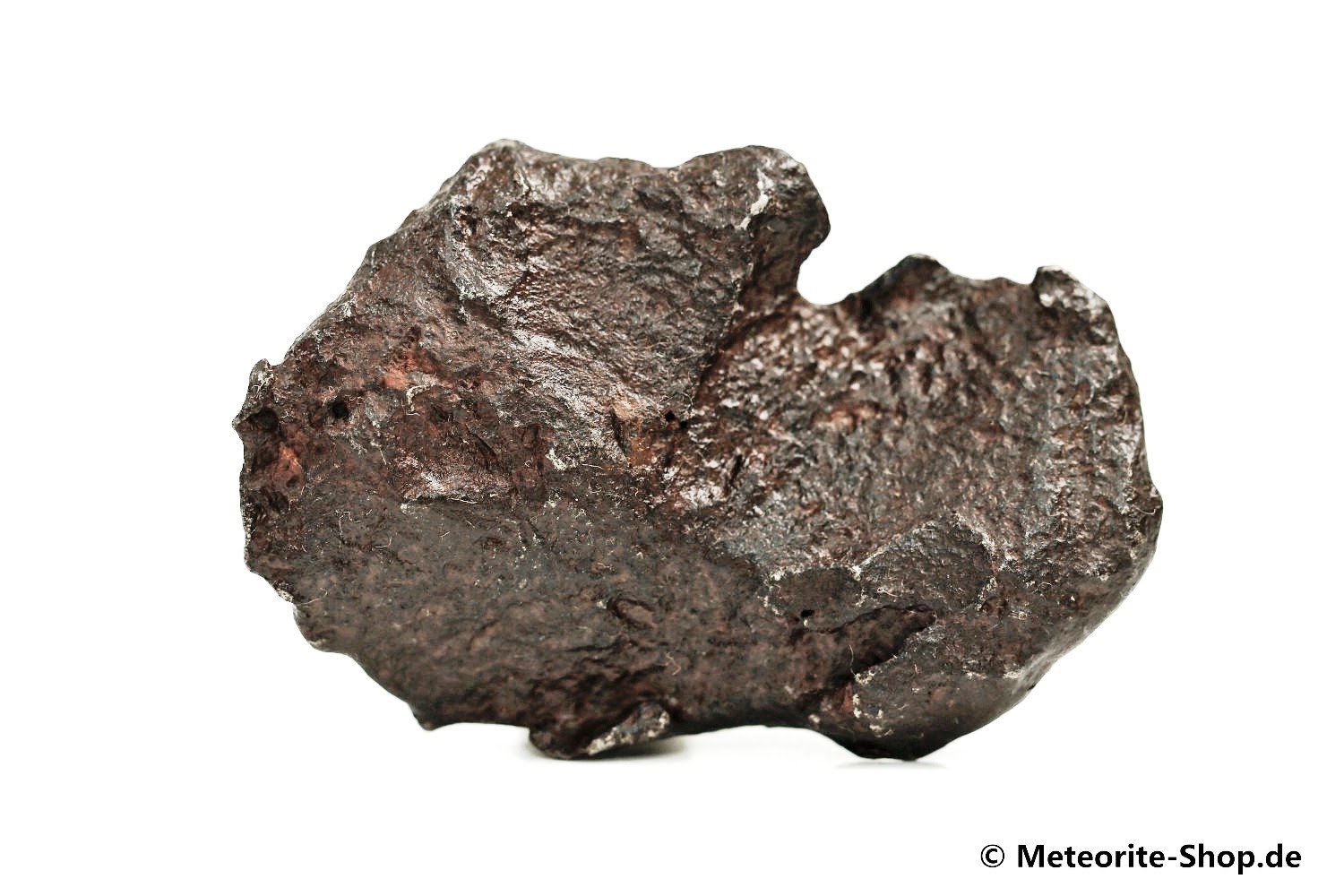 Gebel Kamil Meteorit - 67,50 g