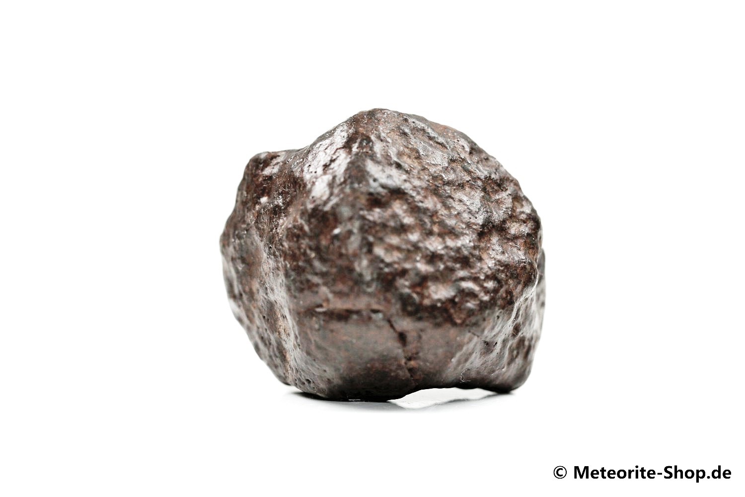 NWA Erfoud Meteorit - 46,50 g