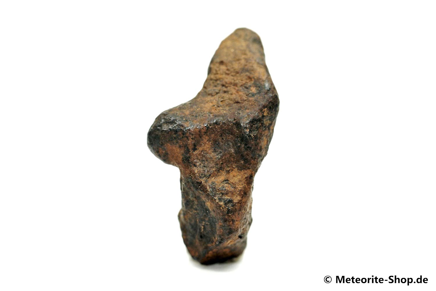 NWA 859 Meteorit - 10,30 g