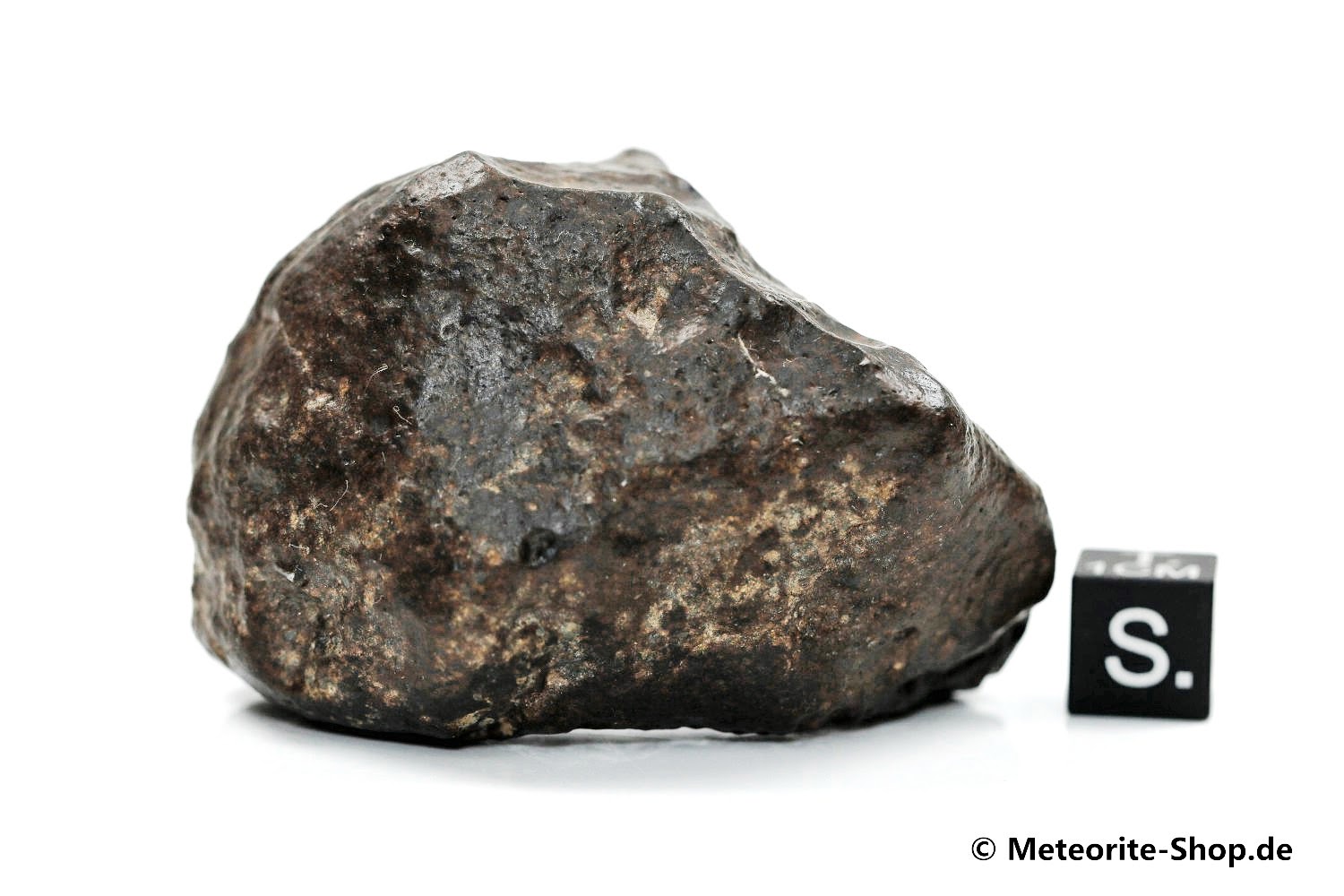 NWA Sahara Meteorit - 162,60 g