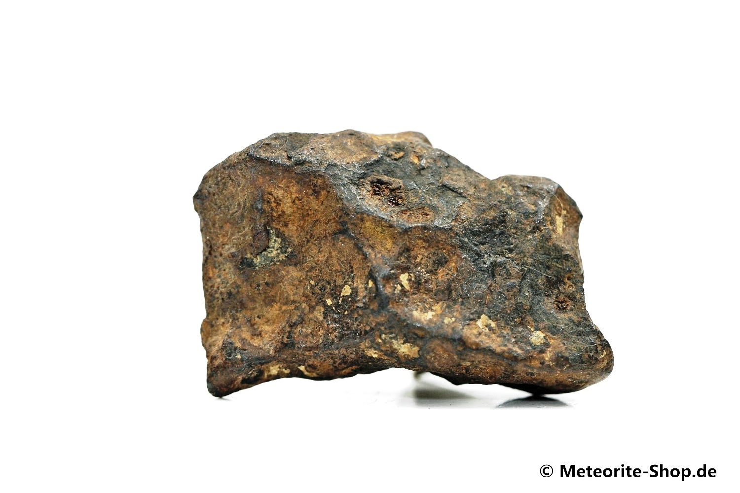 Agoudal Meteorit - 44,20 g