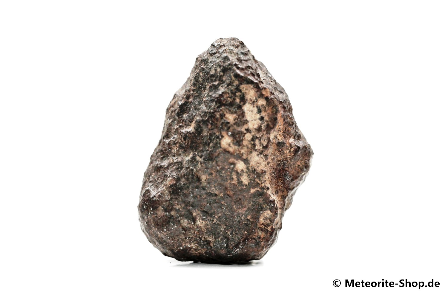 NWA Marokko Meteorit - 42,50 g
