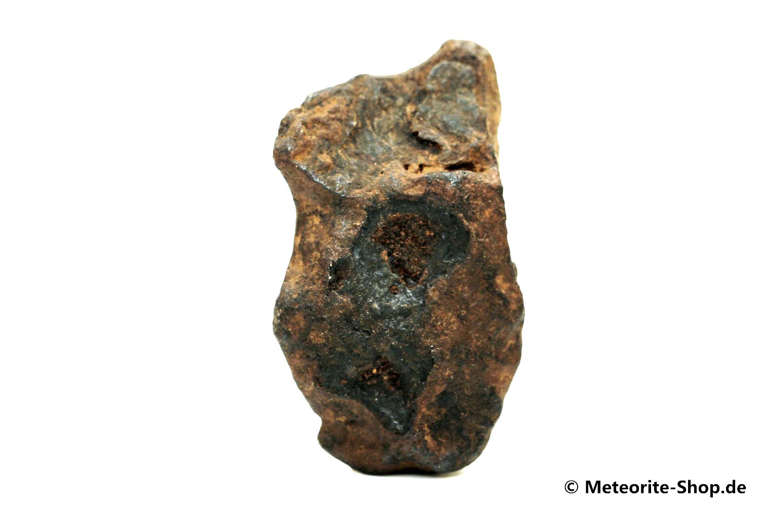 NWA 859 Meteorit - 11,70 g