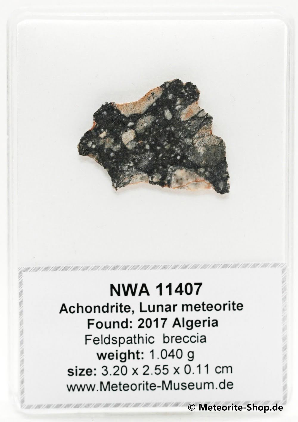 NWA 11407 Mond Meteorit - 1,040 g