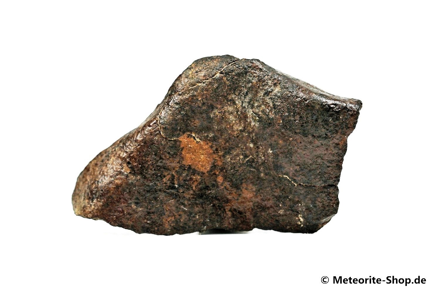NWA Ouarzazate Meteorit - 31,20 g