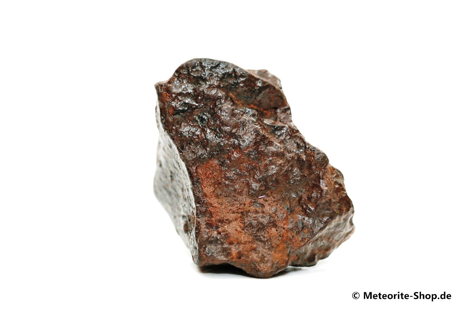 NWA Westsahara Meteorit - 37,80 g