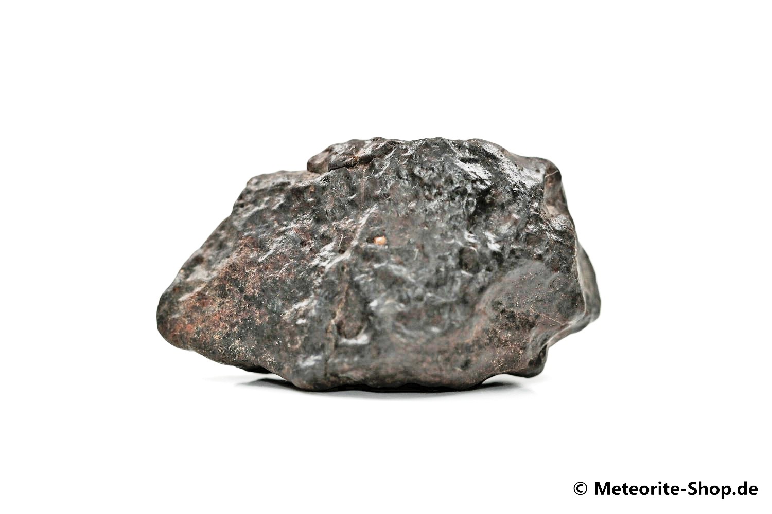 NWA Marokko Meteorit - 18,60 g