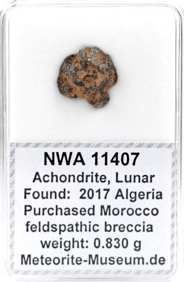 NWA 11407 Mond Meteorit - 0,830 g