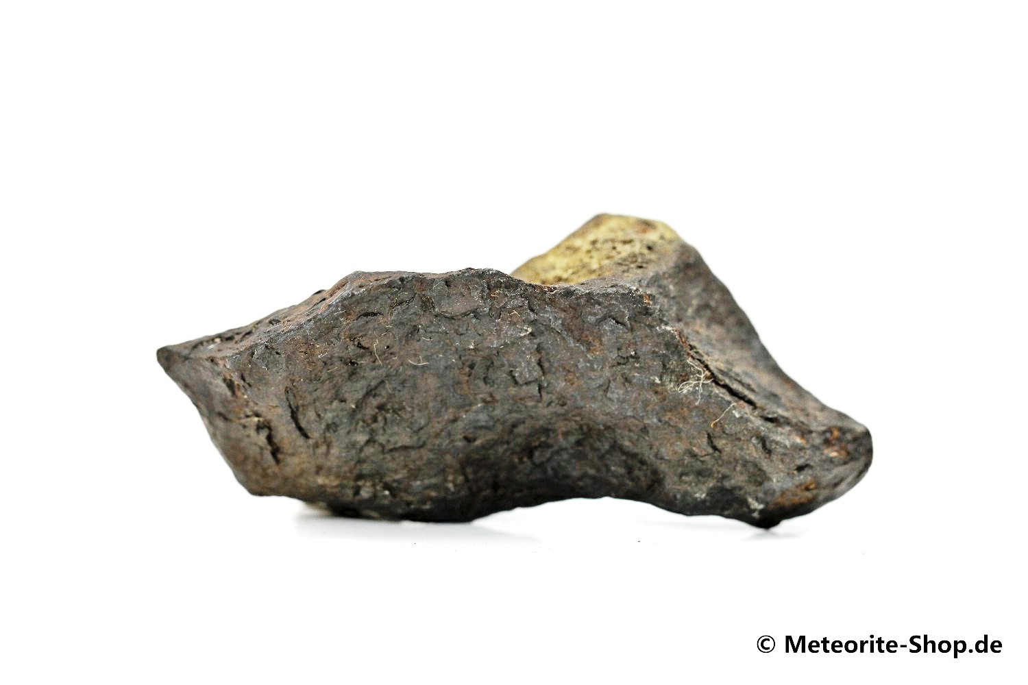Canyon Diablo Meteorit - 30,20 g