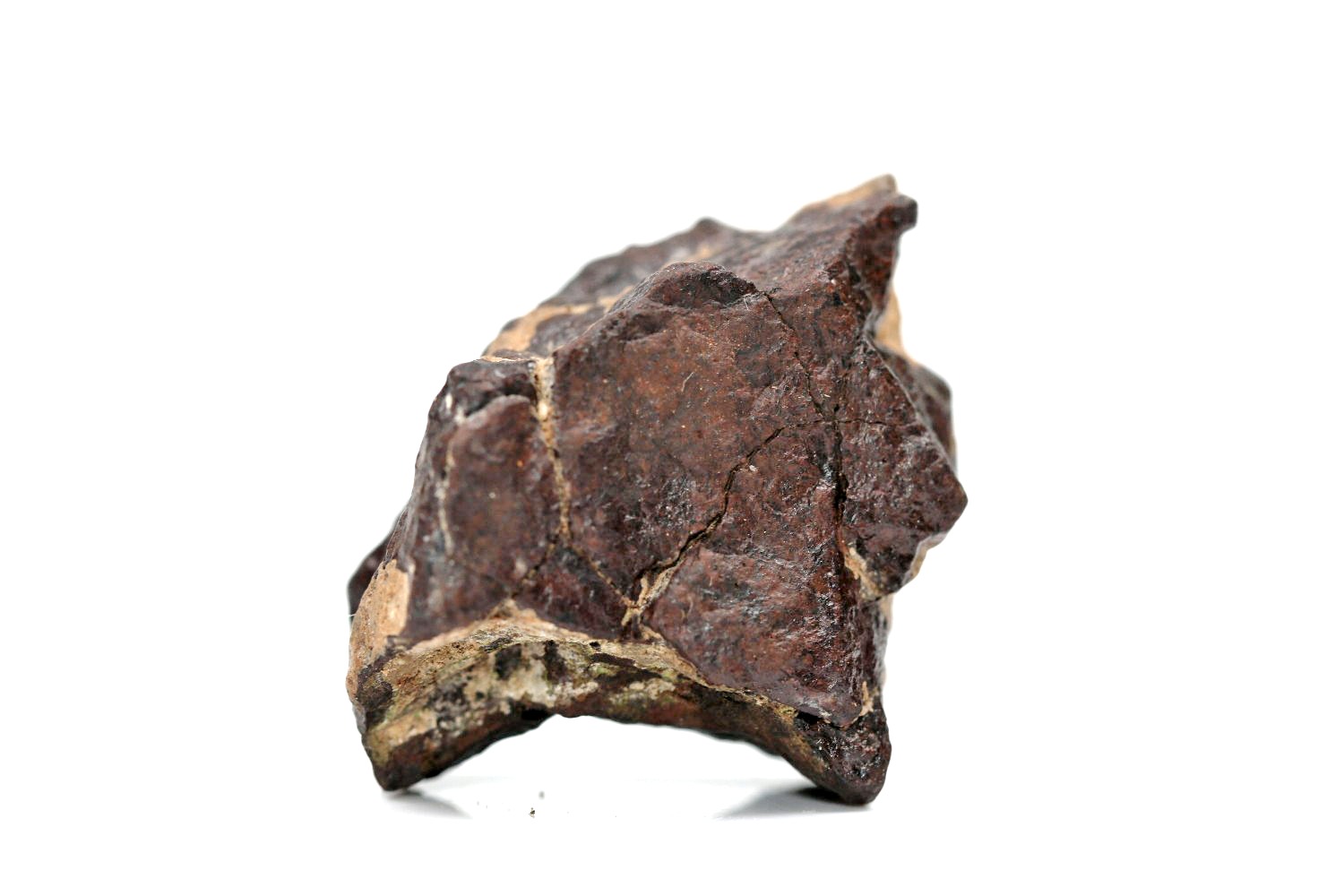 Dhofar 1722 Meteorit - 17,30 g