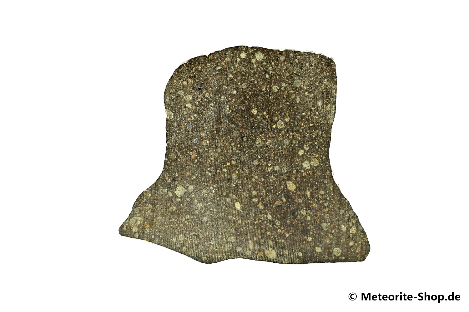 Gouchi 001 Meteorit - 3,90 g