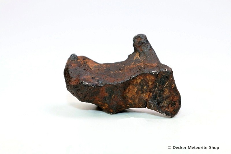 Agoudal Meteorit - 16,55 g