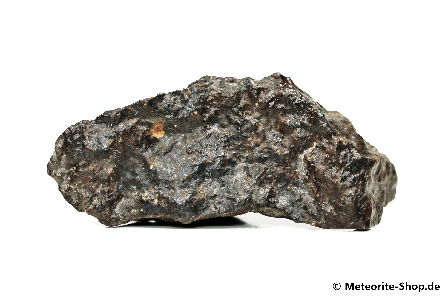 NWA Agadir Meteorit - 51,60 g