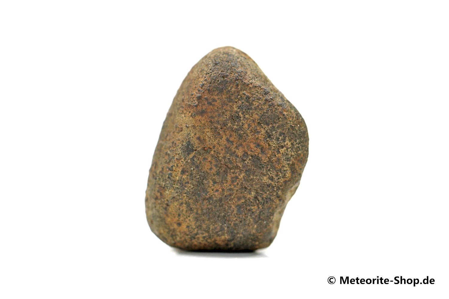 Gao-Guenie Meteorit - 13,90 g