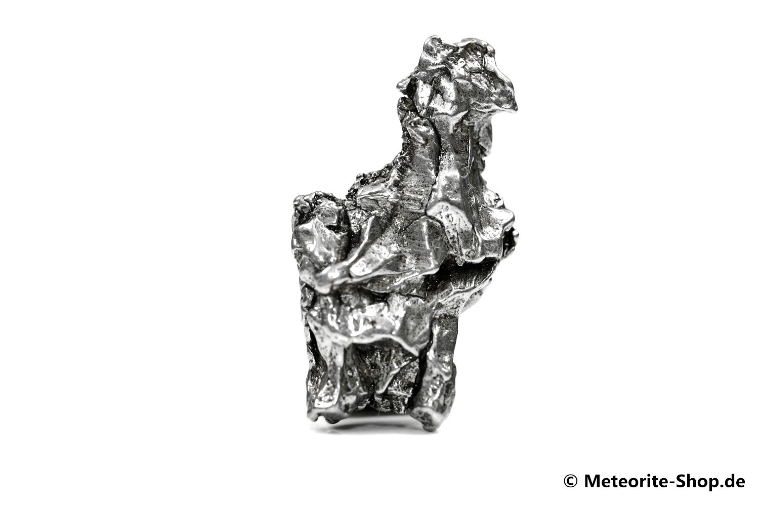 Campo del Cielo Meteorit - 14,00 g