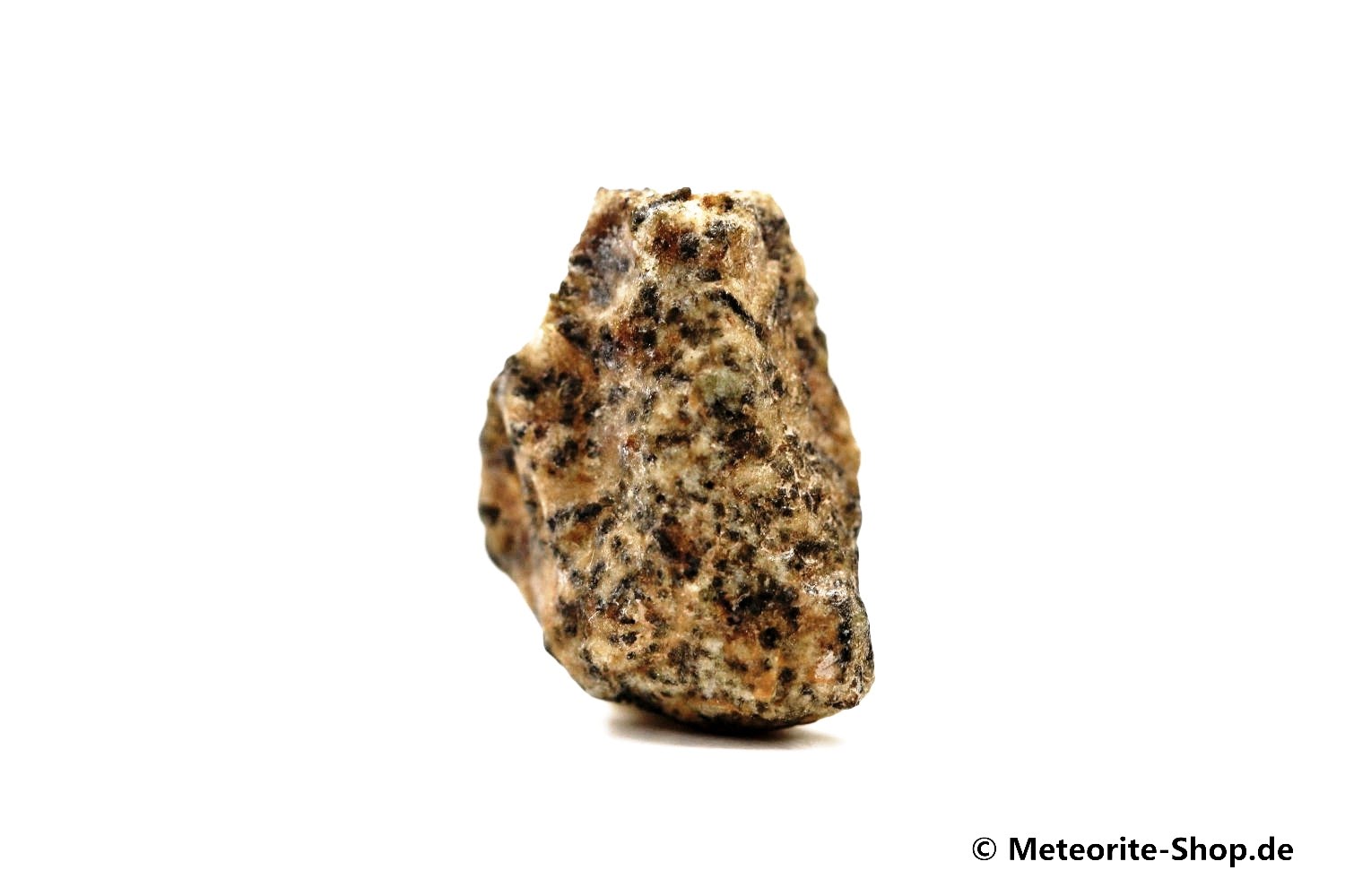 Erg Chech 002 Meteorit - 1,00 g