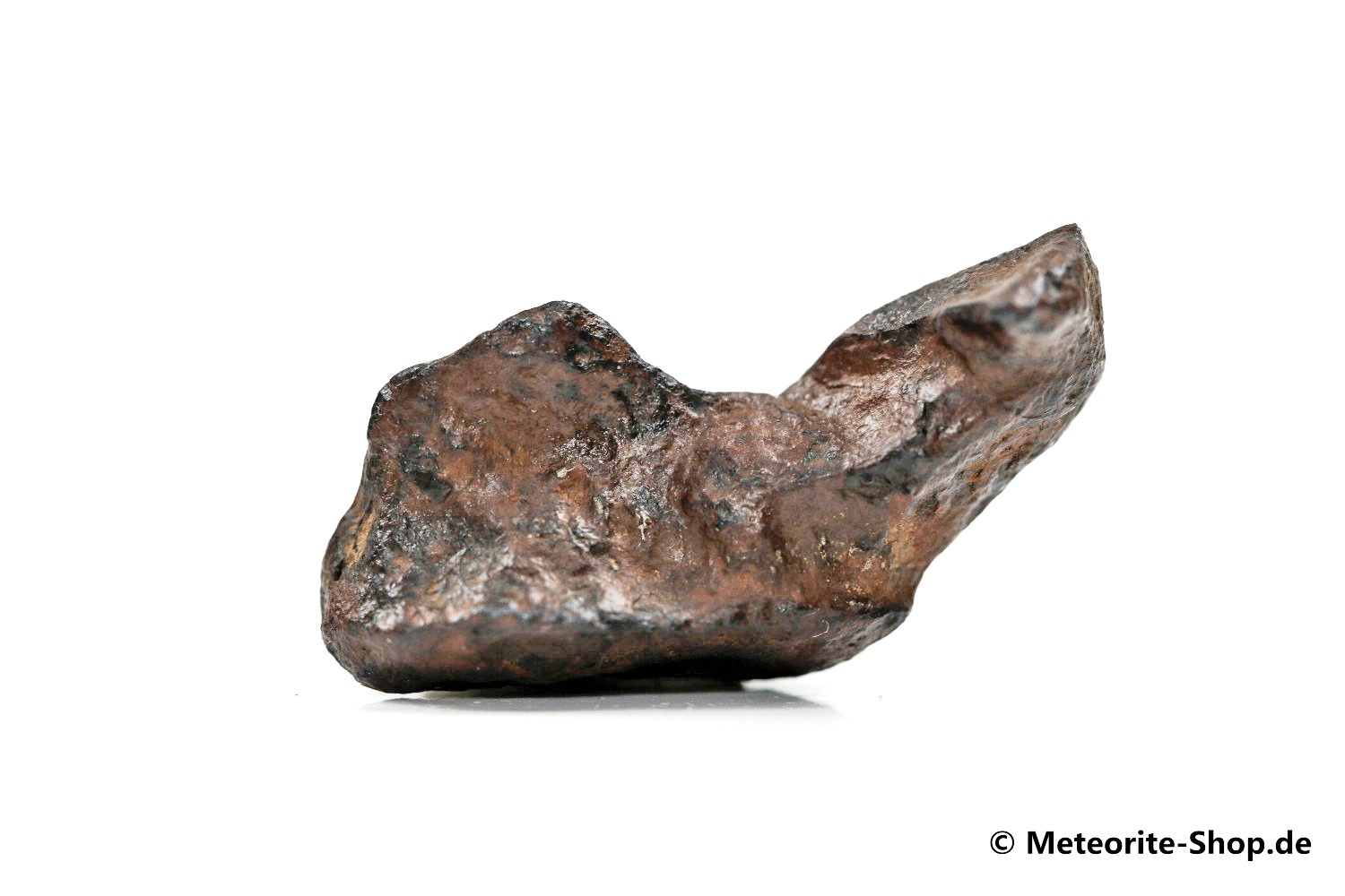 NWA 859 Meteorit - 8,60 g